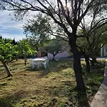 La Parapepita - Con Giardino Privato Nyaraló Orosei